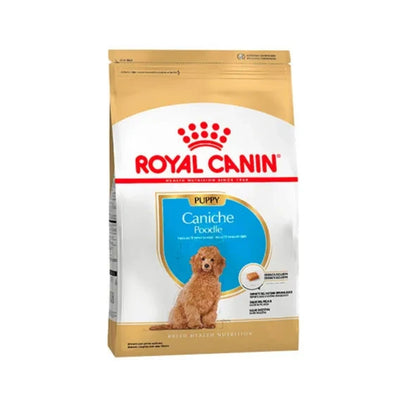 Royal Canin Perro Poodle Puppy