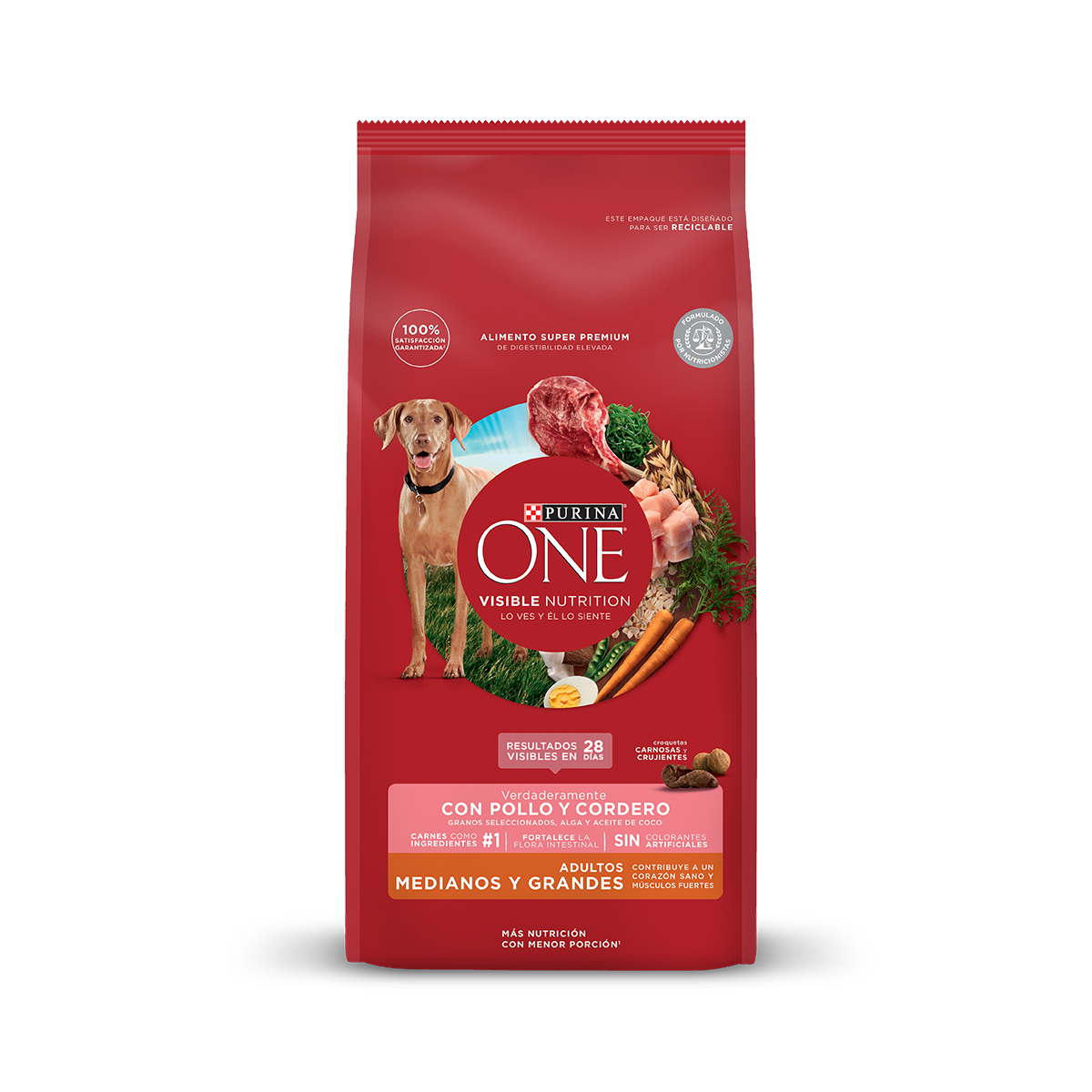 Purina One Perro Adulto Medianos y Grandes Pollo y Cordero