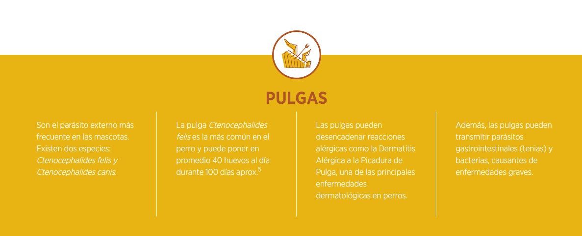 Simparica Zoetis Perros 10mg 2,5K - 5K