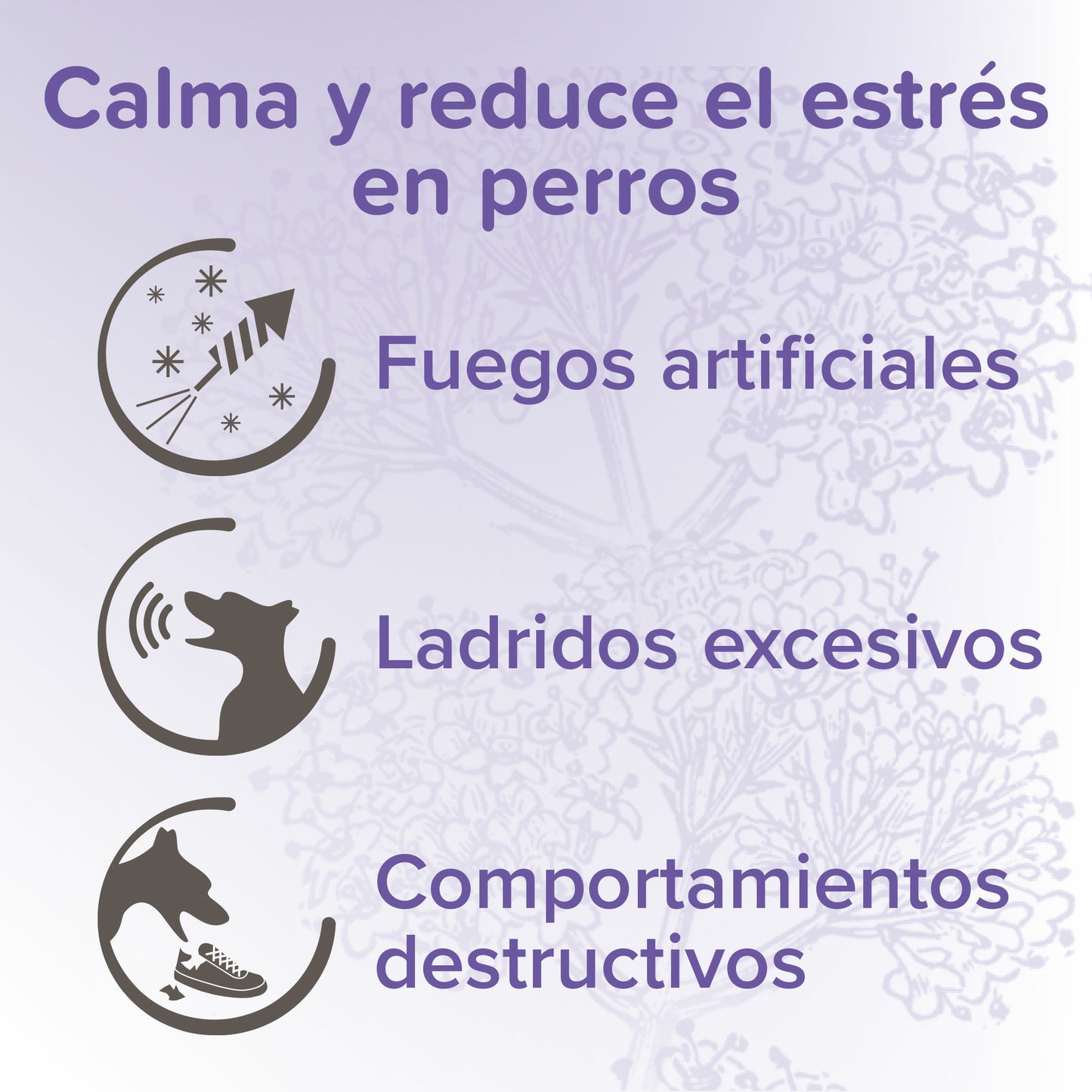 Beaphar Calming Spot on Perros 3x
