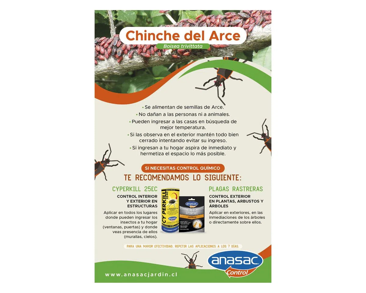 Insecticida plagas hogar 50 cc Cyperkill 25 EC