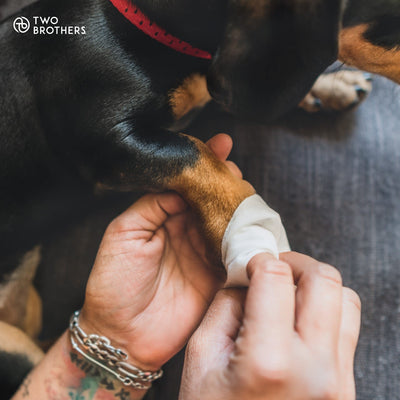 Two Brothers Toallitas Antibacterianas 40un Perros y Gatos