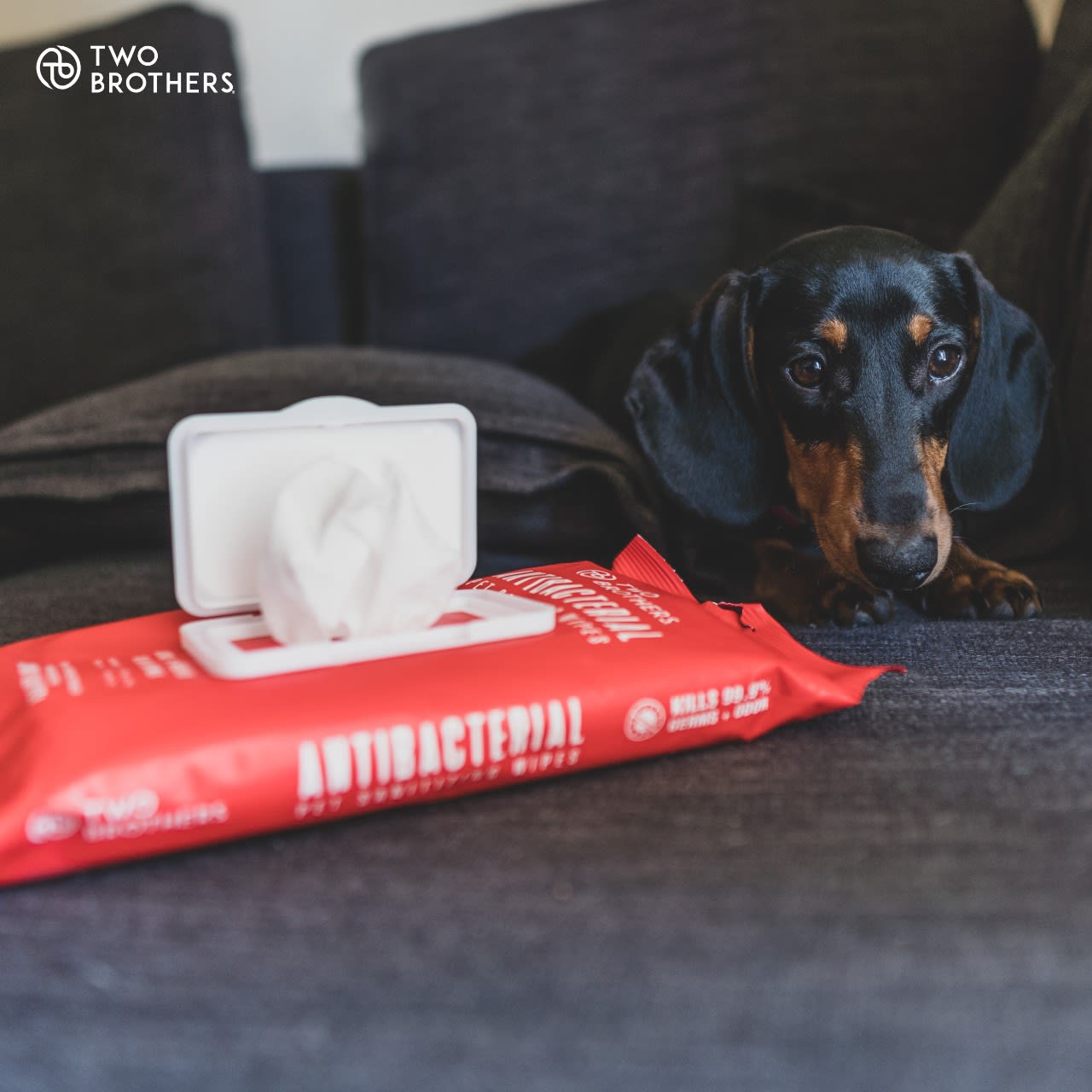 Two Brothers Toallitas Antibacterianas 40un Perros y Gatos