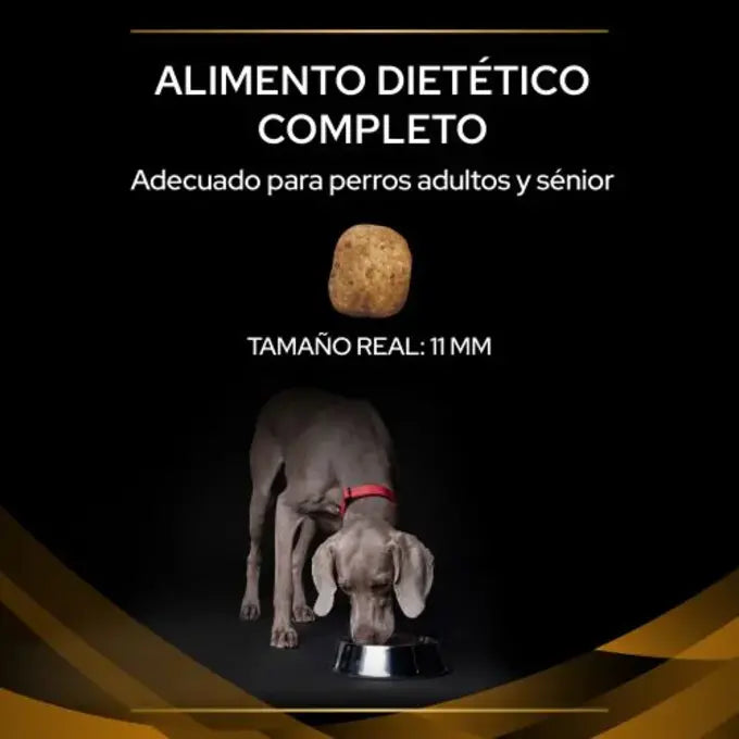 Pro Plan Veterinary Diets NF Kidney Function Perros 2K
