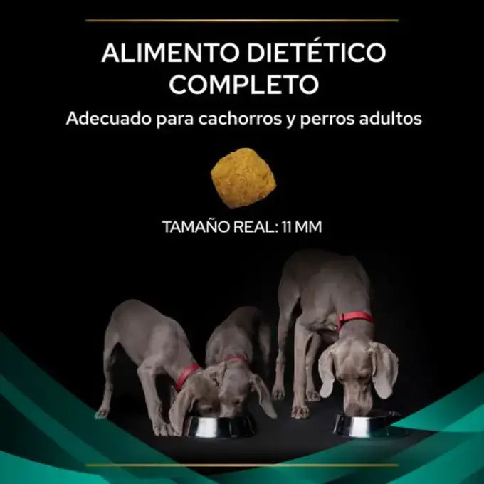 Pro Plan Veterinary Diets En Gatroenteric Perro 2K
