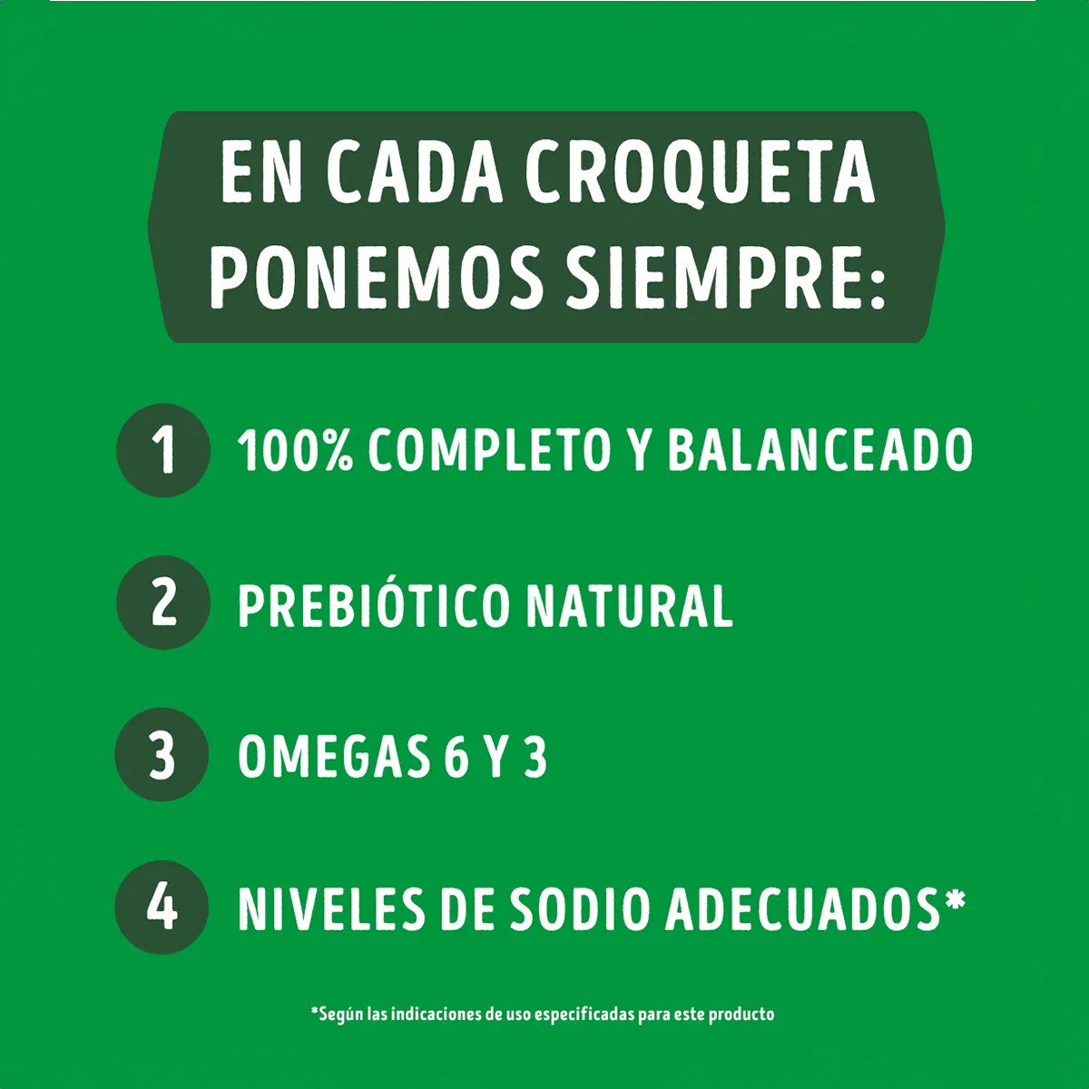 Dog Chow Cachorros Pequeños y Mini 3K