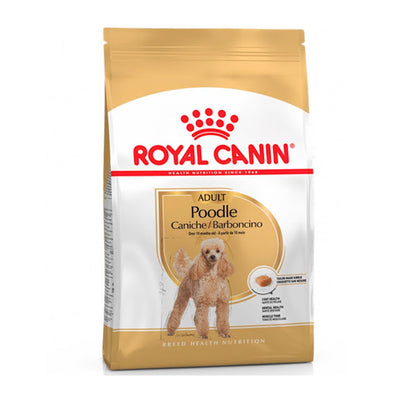 Royal Canin Perro Poodle Adulto