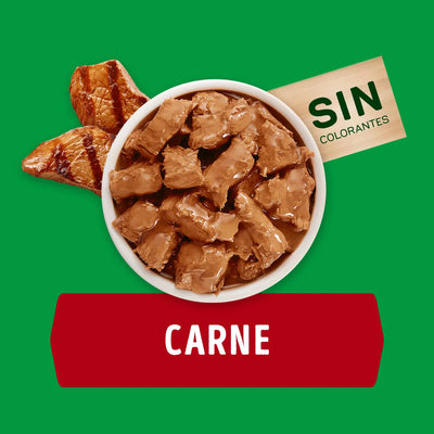 Dog Chow Pouch Perros Adultos Todos Los Tamaños Carne 100g