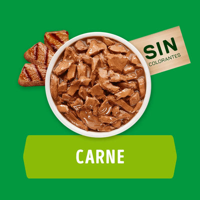 Dog Chow Pouch Cachorro Carne 100g