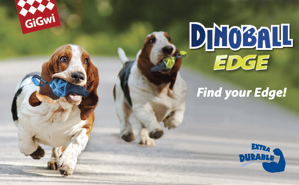 Gigwi DinoBall Edge M Perros
