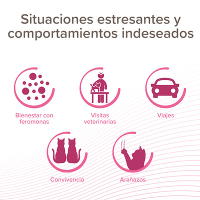 Beaphar CatComfort Spray Gatos 30ml