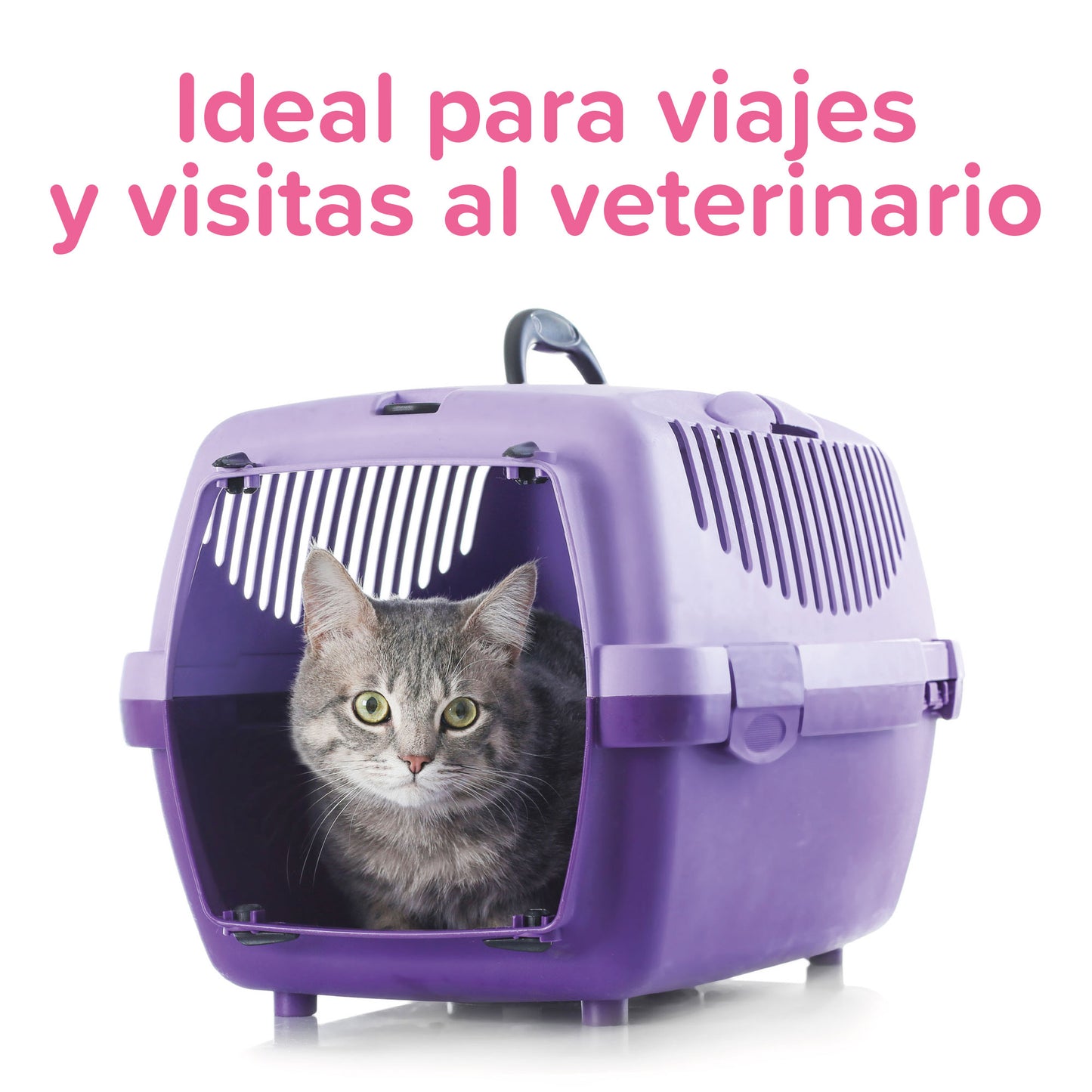 Beaphar CatComfort Spray Gatos 30ml