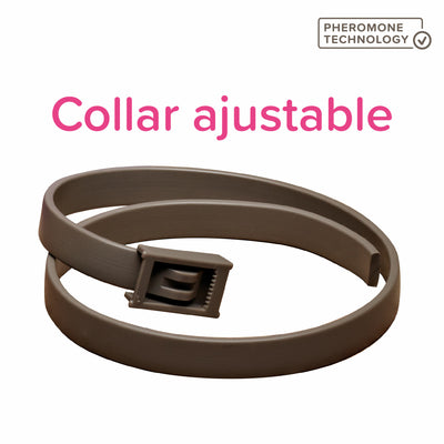 Beaphar CaniComfort Collar Perro Adulto 65cm