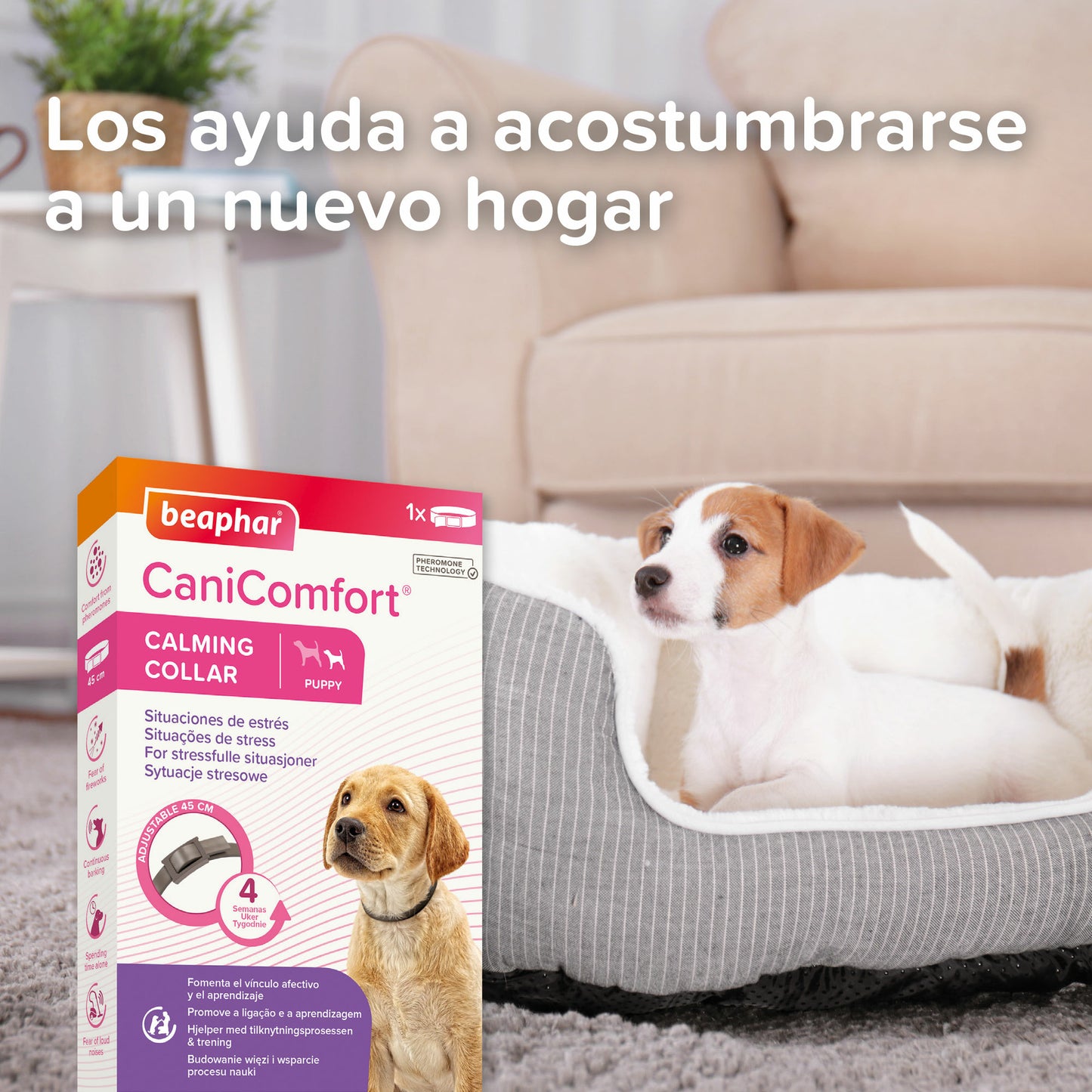 Beaphar CaniComfort Collar Perro Puppy 45cm