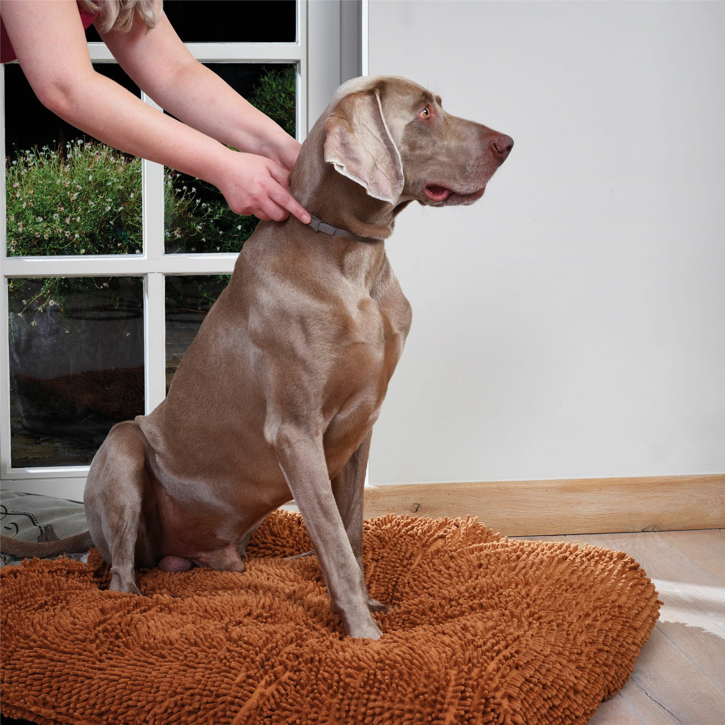 Beaphar CaniComfort Collar Perro Adulto 65cm