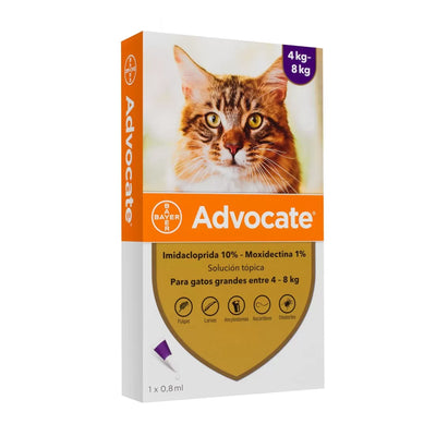 Advocate Pipeta Gato 4 a 8K