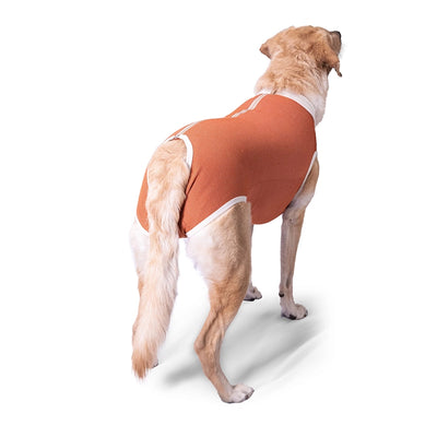 Body Cobre Castracion para Perros