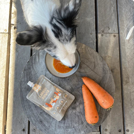 Winga Power Carrot Perros 250ml
