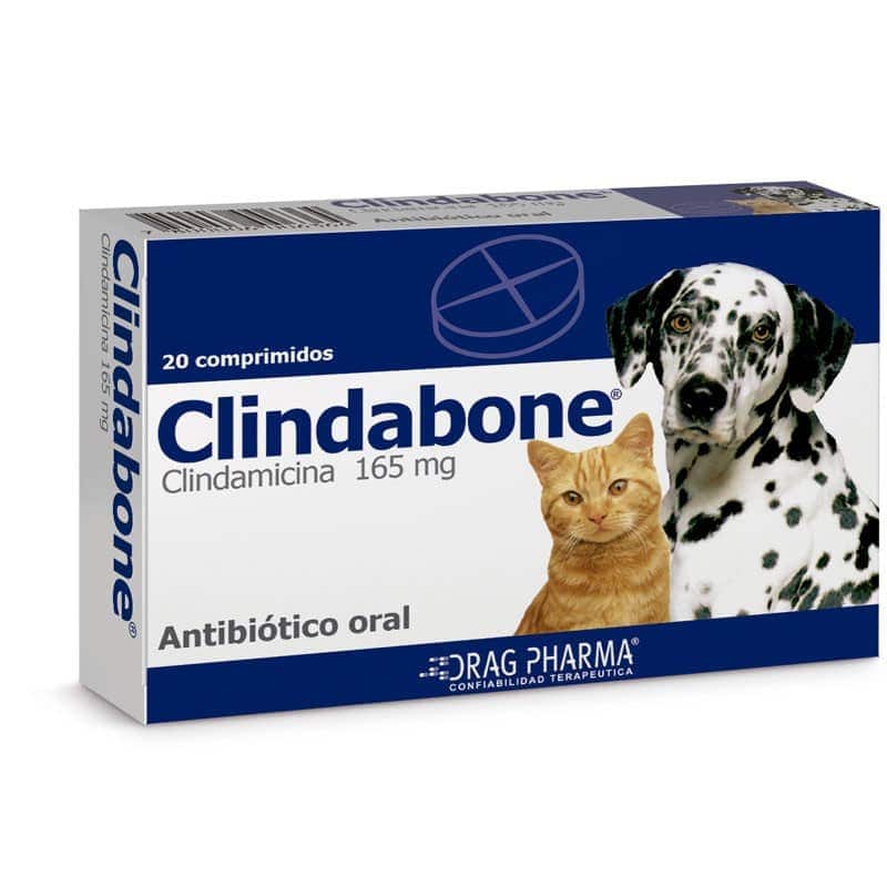 Drag Pharma Clindabone 165mg 20comp Perros y Gatos