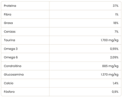 Cooking Gatito Salmon 2K