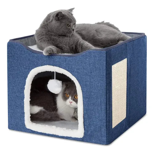 Wonder Cat Cubo Felino Ingreso Frontal
