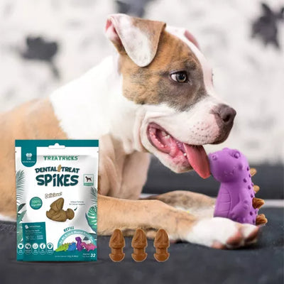 Snack Treatricks Dental Treats Spikes Refill Pollo Perros 183g
