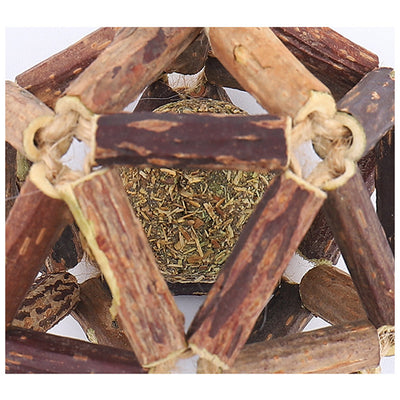 Wonder Cat Bola de Catnip en Jaula de Dental Stick 7cm