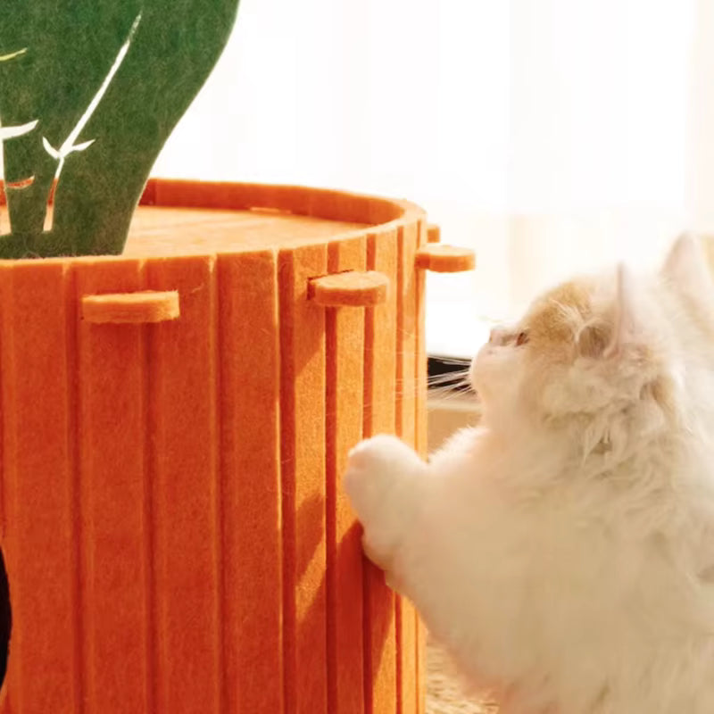 Marben Pets Casa Zanahoria Gatos