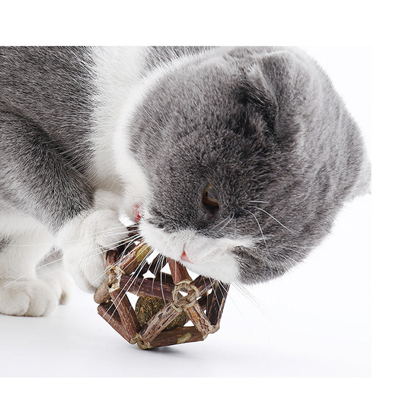 Wonder Cat Bola de Catnip en Jaula de Dental Stick 7cm