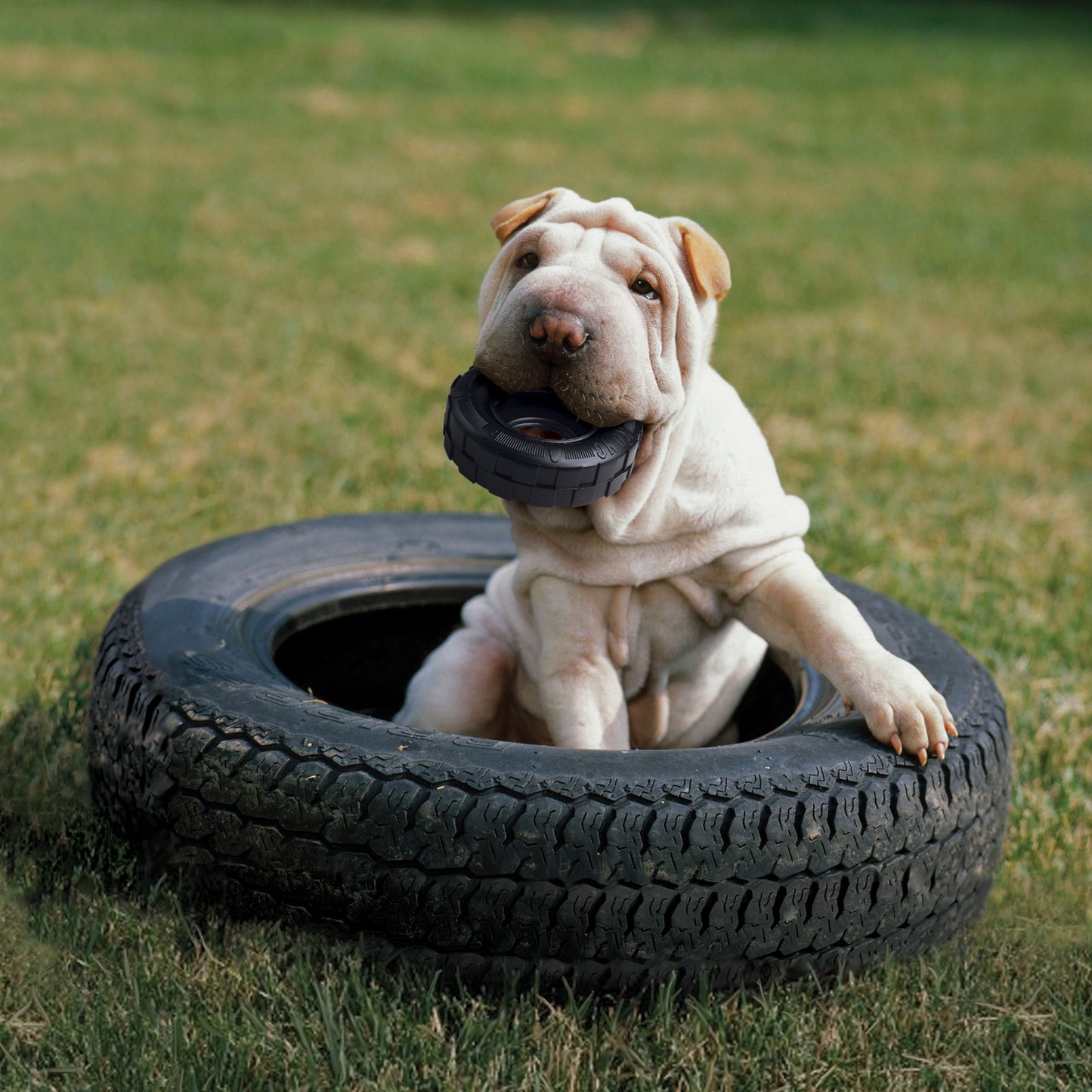 Kong Dog Tires M/L