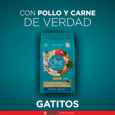 Purina One Gatitos Pollo y Carne 2K