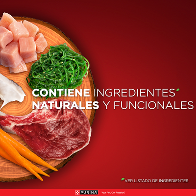 Purina One Perros Adultos Minis y Pequeños con Pollo y Carne