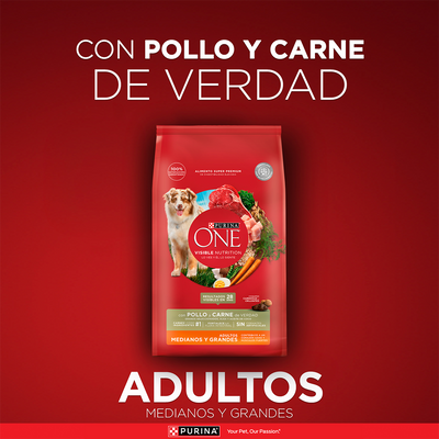 Purina One Perro Adulto Medianos y Grandes Pollo y Carne 12K