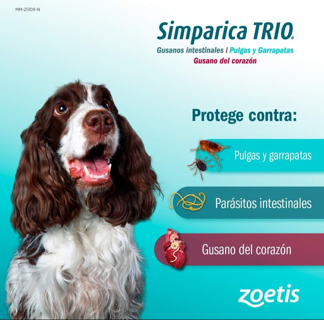 Simparica Trio Zoetis Antiparasitario Externo e Interno Perros 1.25K - 2.5K 1 Comprimido