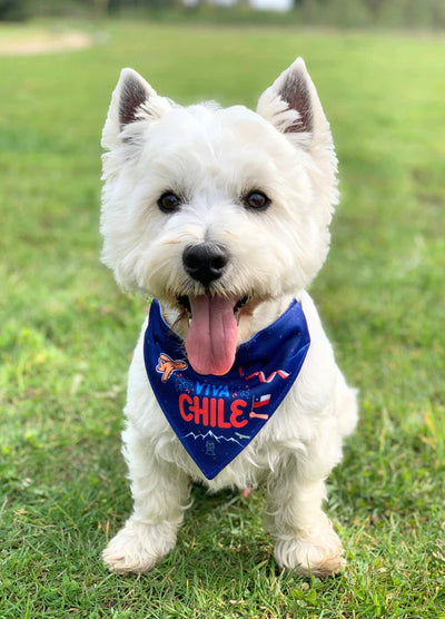 Bandana By Simona Viva Chile