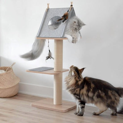 Pawise Tienda Gris Gatos