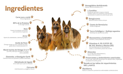 Bokato Gold Super Premium Perro Adulto