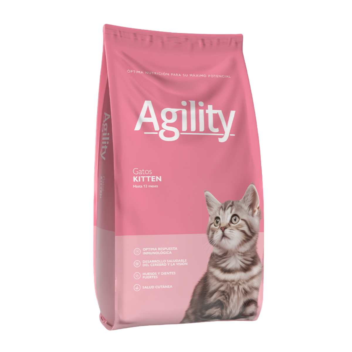 Agility Gato Kitten 1.5K