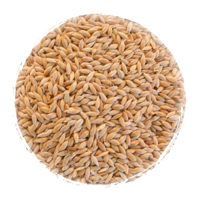 Alimento Alpiste a Granel 700g