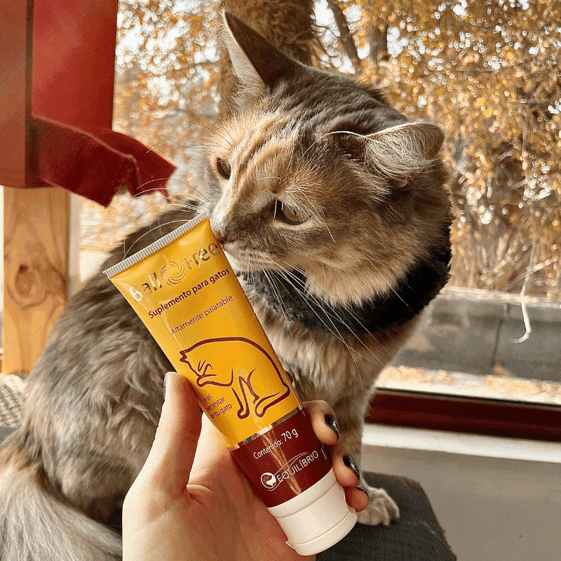 Ball Free Anti Bolas de Pelo Gatos 70g
