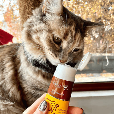 Ball Free Anti Bolas de Pelo Gatos 70g