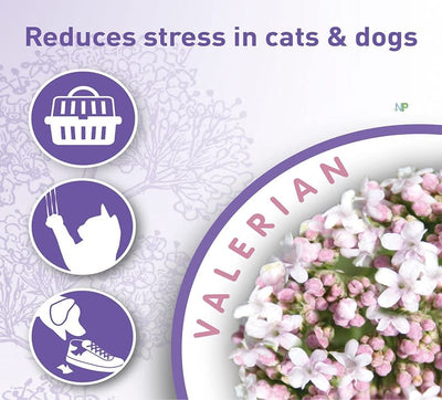 Beaphar Calming Home Spray Perro y Gato 125ml