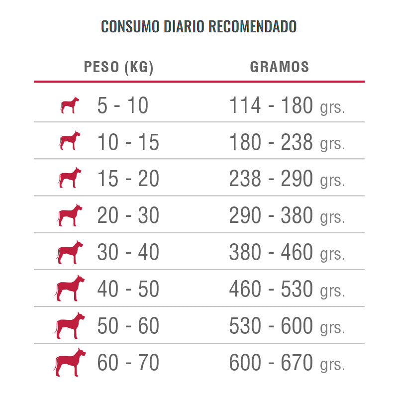Nomade Perro Adulto Raza Mediana y Grande 20K