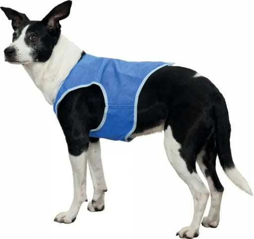 Chaleco Refrescante para Perros L