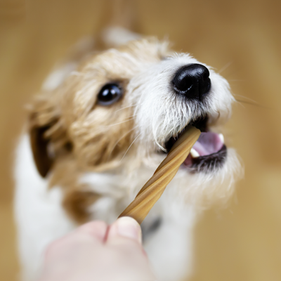 Vitakraft Snack Perro Dental 3 en 1