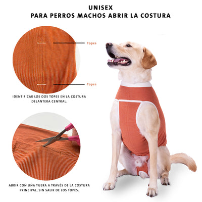 Body Cobre Ropa Post-Quirúrgica para Perros y Gatos