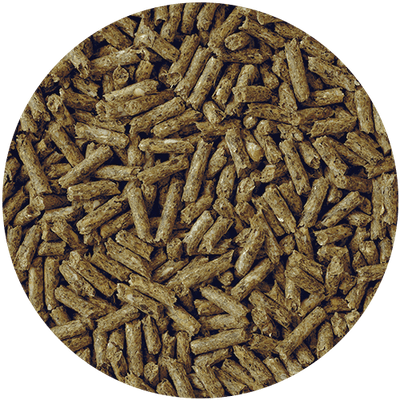 Pellet Mantención Conejo y Cuyi