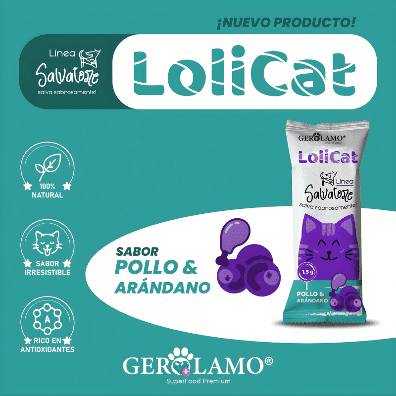 Gerolamo Salvatore Lolicat Pollo y Arandano Gatos