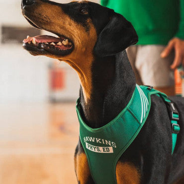 Zee Dog Stranger Things Adjustable Mesh Plus Harness