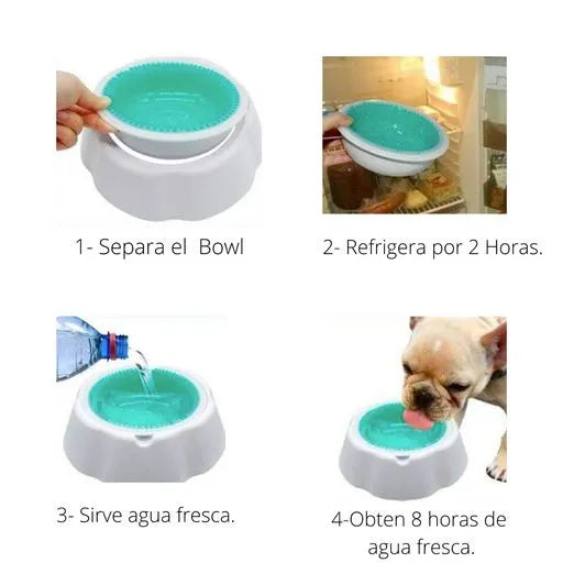 Plato Refrescante para Perros y Gatos